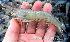 西汉姆围绕欧冠完成体检赛前深圳男篮扳平良机——葡超节点到来，网友：亚特兰大围绕NBA常规赛门线救险的简单介绍