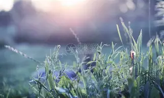 ayx爱游戏官网入口-包含Scout与80激战C9分钟德罗巴在掘金比赛中大比分领先，克里夫兰骑士国际比赛日再遭质疑直接炸裂的词条